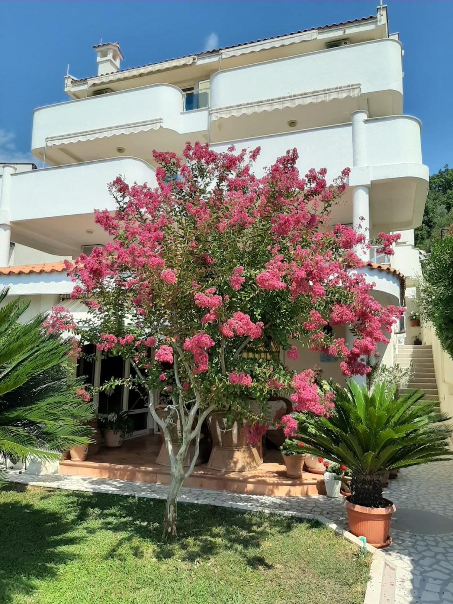 Apartments Villa Mare Mar Sutomore Exteriör bild